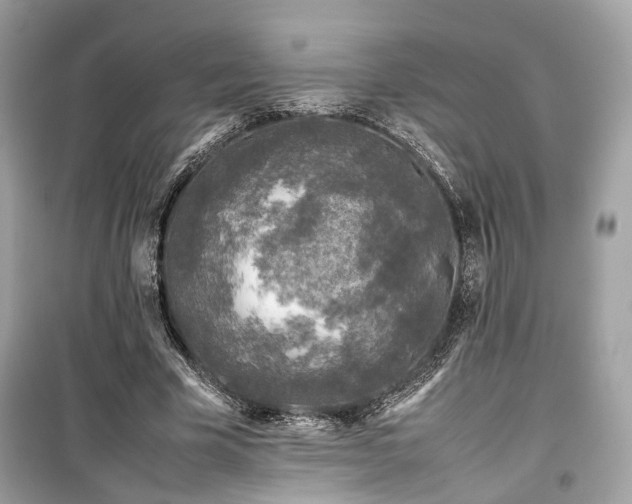 X0000099410585200805161023