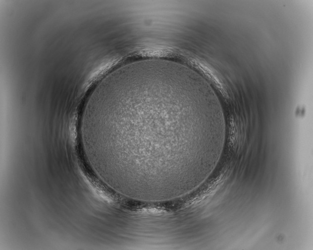 X0000099410586200805161023