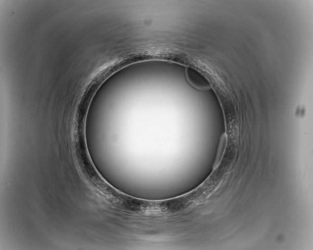 X0000099410587200805161023