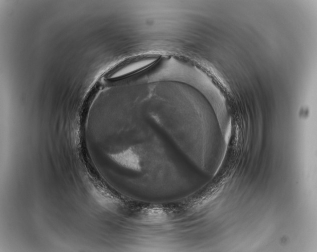 X0000099410588200805161023