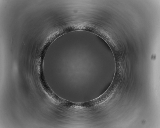 X0000099410590200805161023