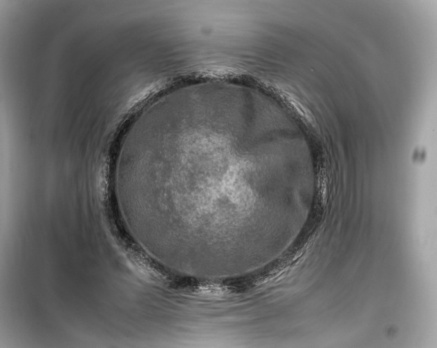 X0000099410591200805161023