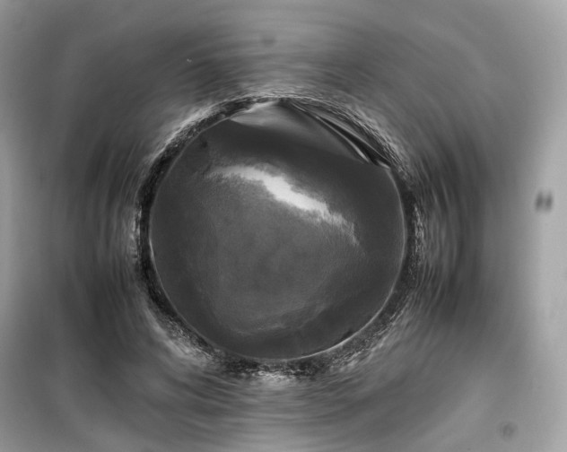 X0000099410592200805161023