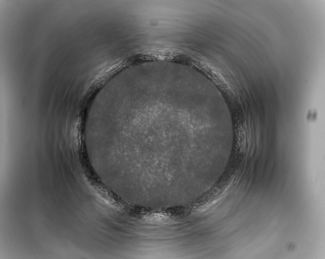 X0000099410594200805161023