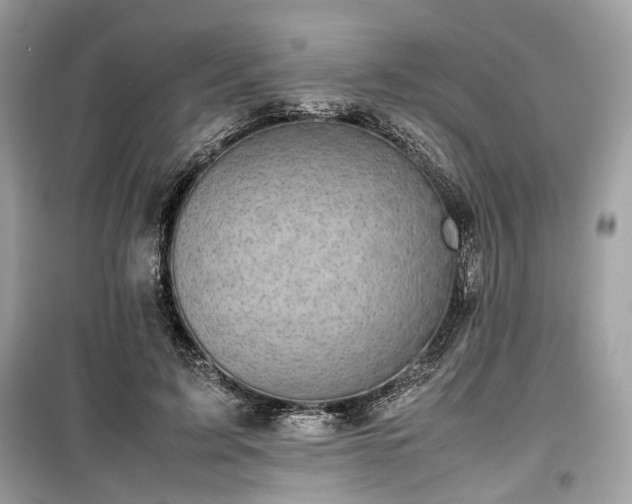 X0000099410595200805161023