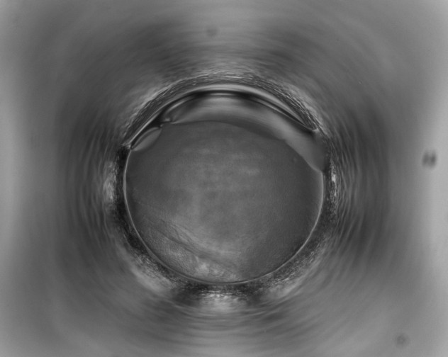 X0000099410596200805161023