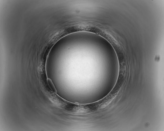 X0000099410597200805161023