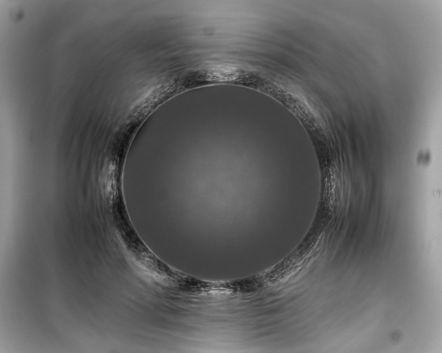 X0000099410598200805161023