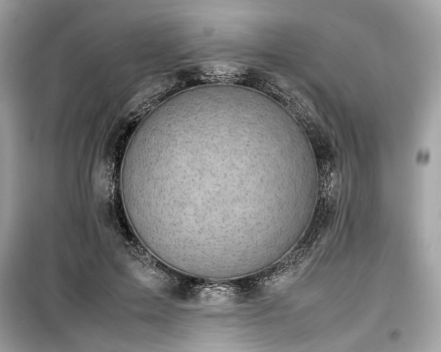 X0000099410599200805161023