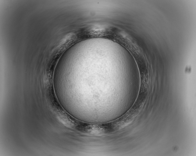 X0000099410601200805161023
