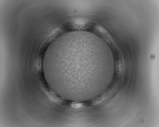 X0000099410602200805161023