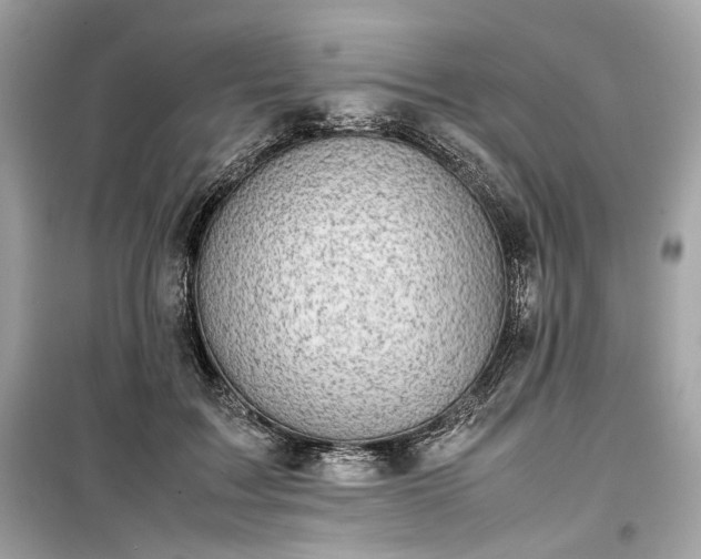 X0000099410603200805161023