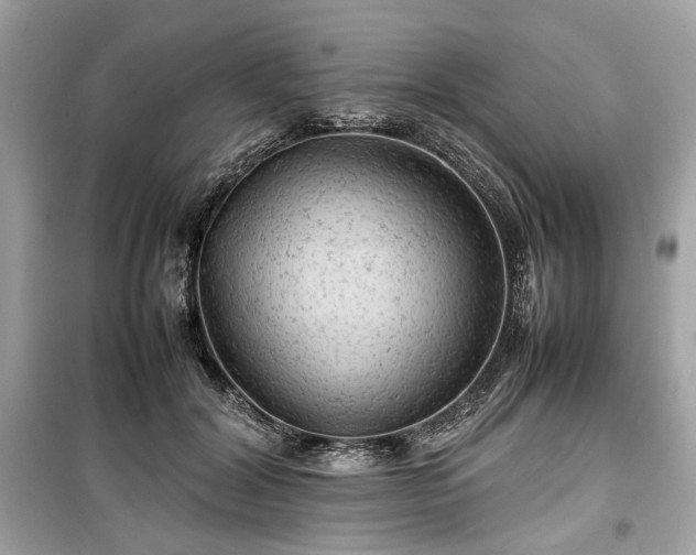 X0000099410604200805161023