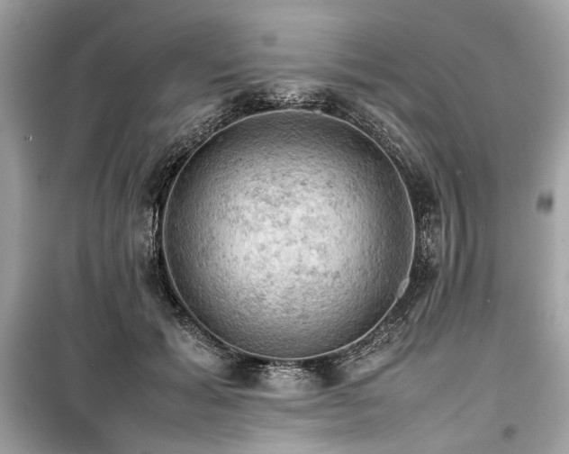 X0000099410605200805161023