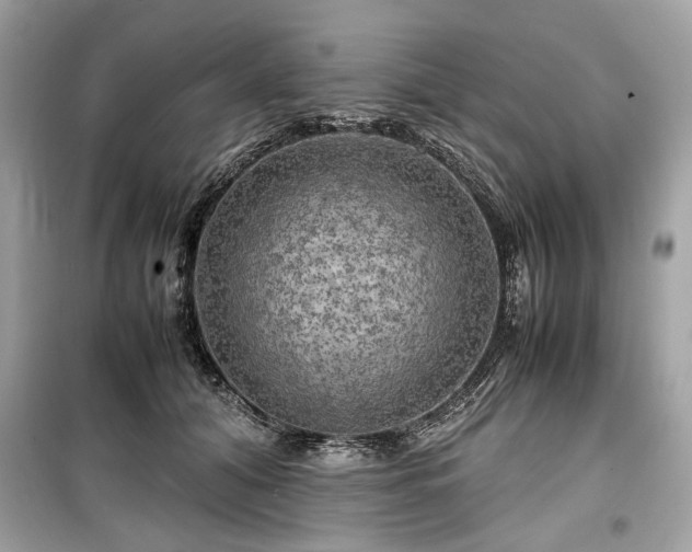 X0000099410608200805161023
