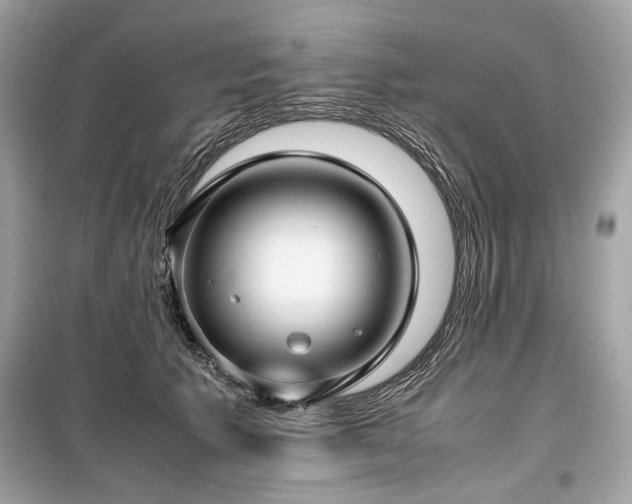 X0000099410609200805161023