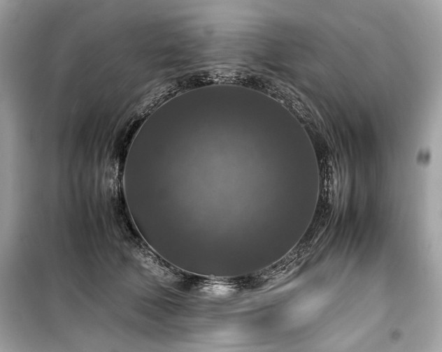 X0000099410610200805161023