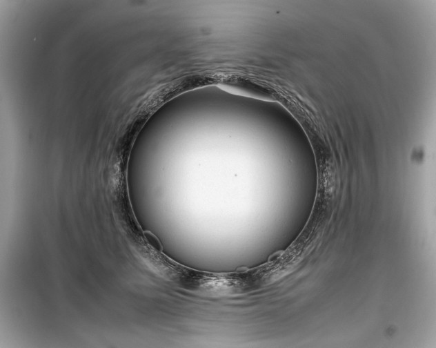 X0000099410611200805161023