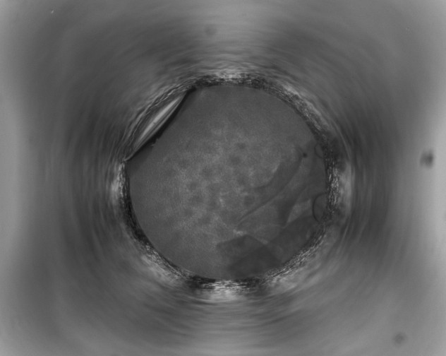 X0000099410612200805161023