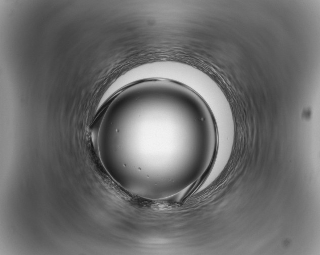 X0000099410613200805161023