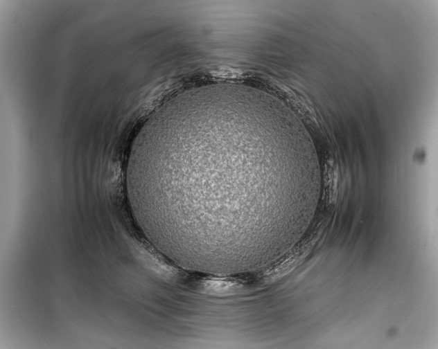 X0000099410614200805161023
