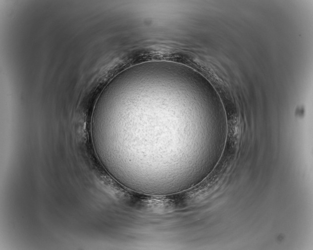 X0000099410615200805161023