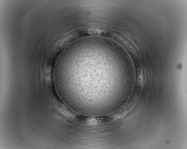 X0000099410616200805161023
