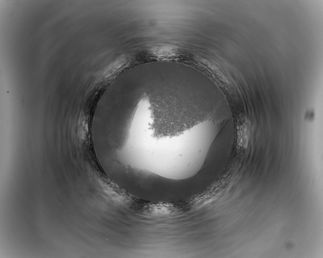 X0000099410618200805161023