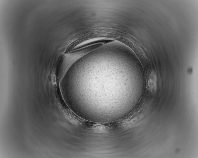 X0000099410620200805161023