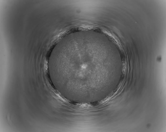 X0000099410621200805161023