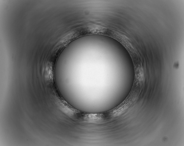 X0000099410622200805161023
