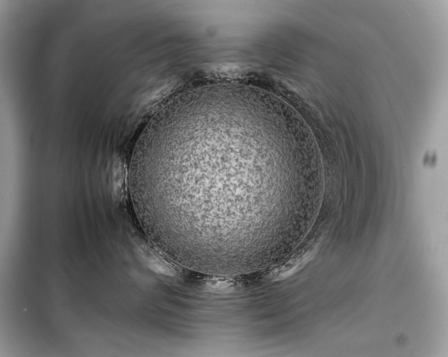 X0000099410624200805161023