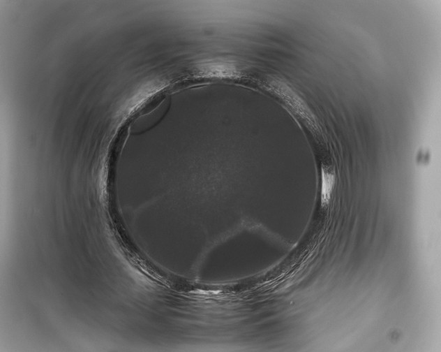 X0000099410627200805161022