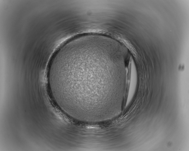 X0000099410628200805161022