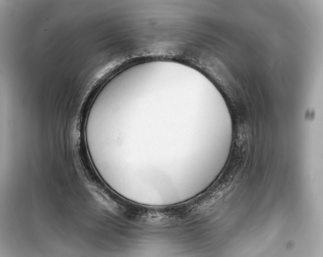 X0000099410632200805161022