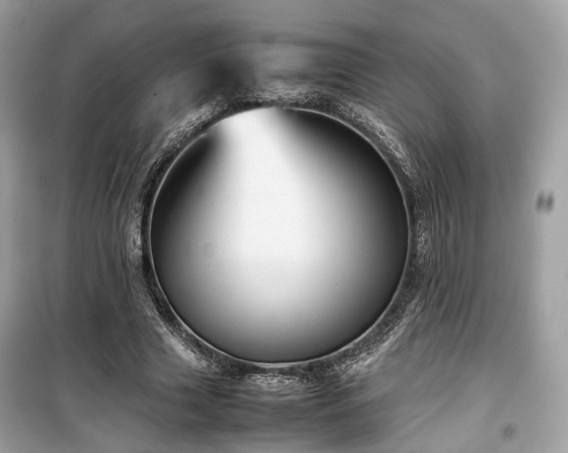 X0000099410633200805161022