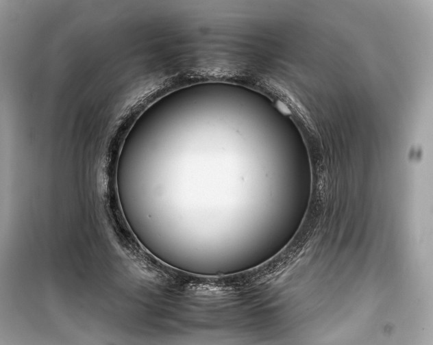 X0000099410635200805161022