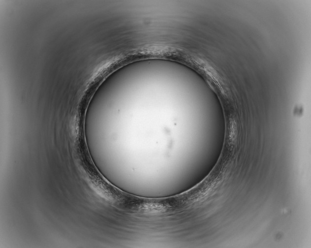 X0000099410636200805161022