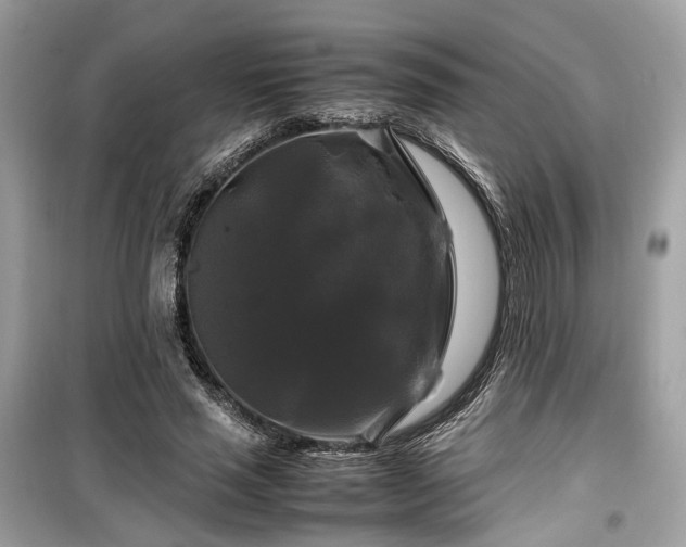 X0000099410637200805161022