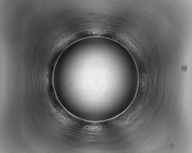 X0000099410639200805161022