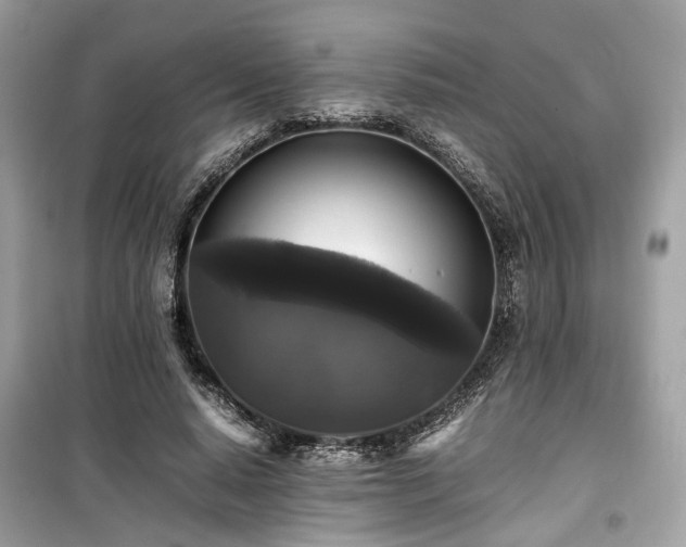 X0000099410640200805161022