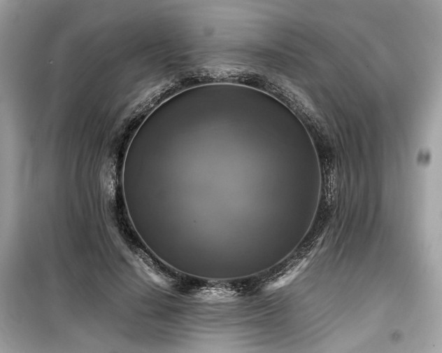 X0000099410644200805161022