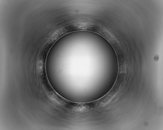 X0000099410646200805161022