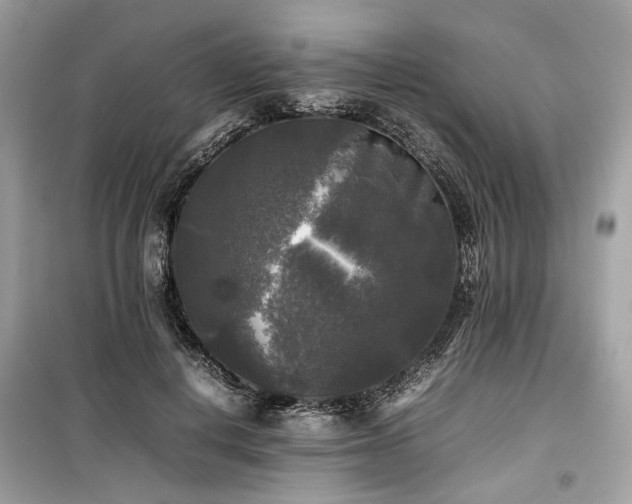 X0000099410648200805161022