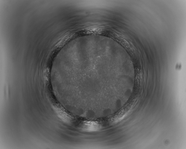 X0000099410649200805161022