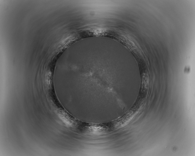 X0000099410650200805161022