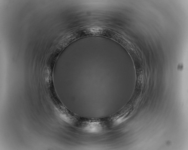 X0000099410651200805161022