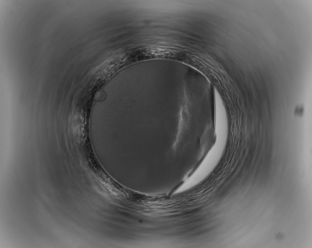X0000099410653200805161023