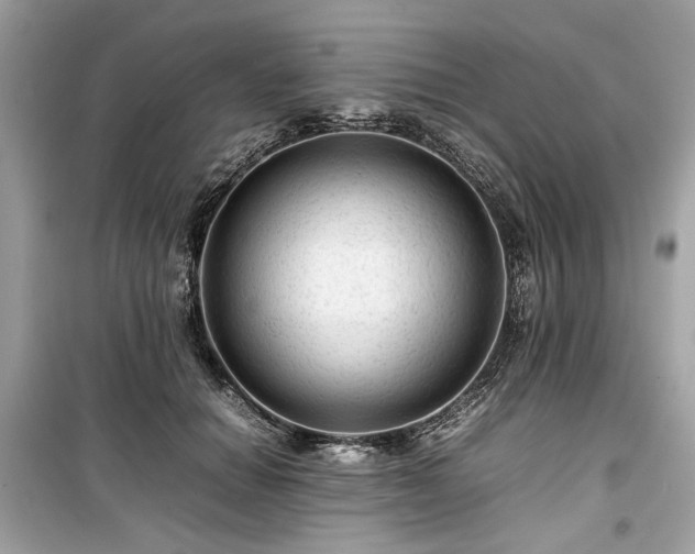X0000099410654200805161023