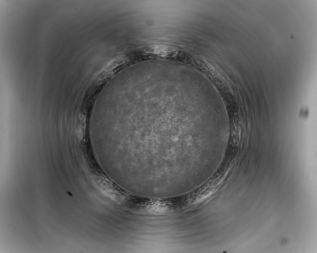 X0000099410656200805161023